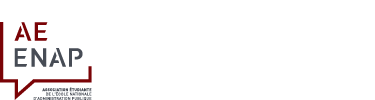 logo AEENAP